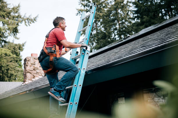 Best Green or Eco-Friendly Roofing Solutions  in Robbins, NC